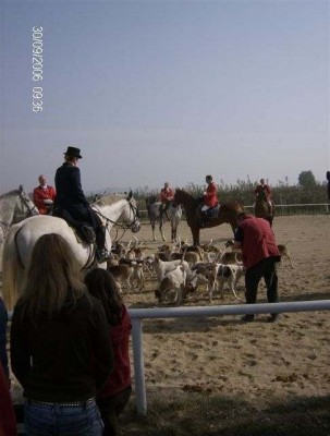 fuchsjagd_asperndorf_17