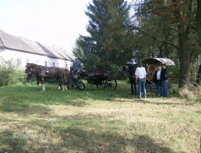 fuchsjagd_asperndorf_21