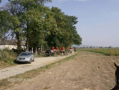 fuchsjagd_asperndorf_28