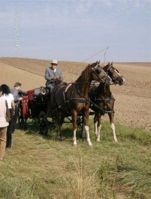fuchsjagd_asperndorf_38