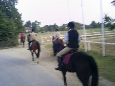 fuchsjagd_asperndorf_62