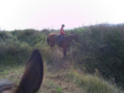 fuchsjagd_asperndorf_74