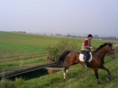 fuchsjagd_asperndorf_91