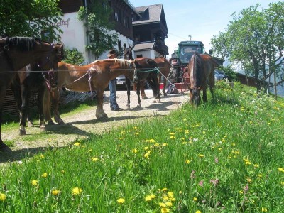 wanderreiten_2009_13