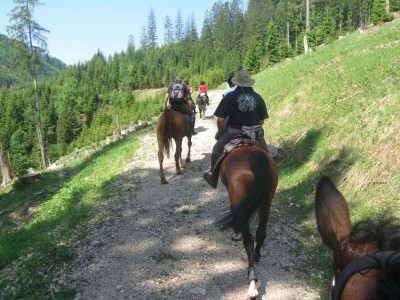 wanderreiten_2009_52