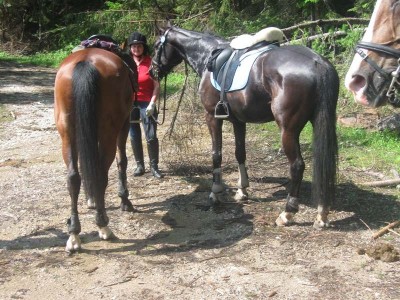 wanderreiten_2009_55