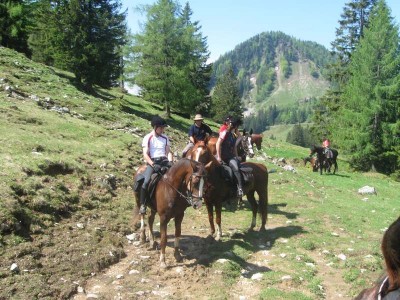 wanderreiten_2009_60