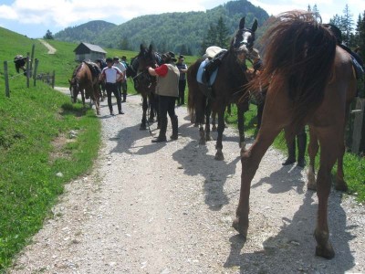 wanderreiten_2009_64