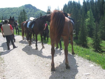 wanderreiten_2009_65