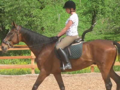 wanderreiten_2009_90