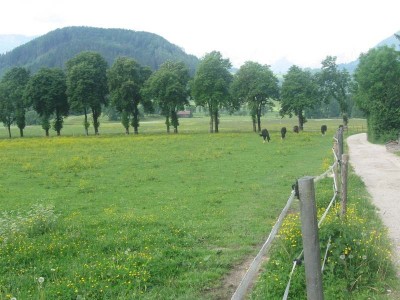 wanderreiten_2009_94