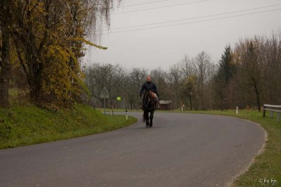 geburtstagsritt_fred_078
