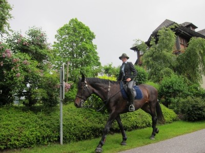 img_4377