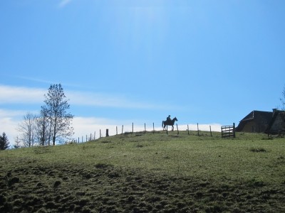 teichalm_wanderreiten_11