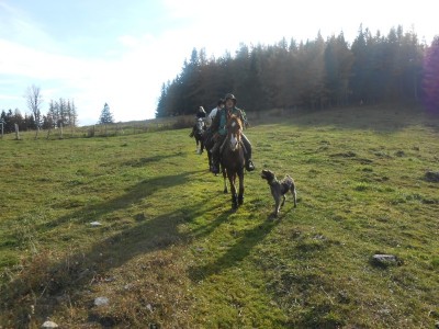 teichalm_wanderreiten_16