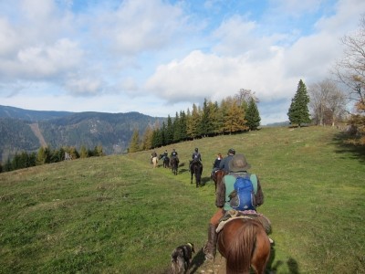 teichalm_wanderreiten_18