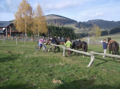 teichalm_wanderreiten_30