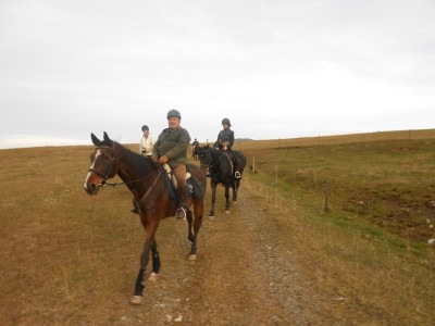 teichalm_wanderreiten_33