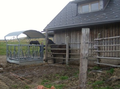 teichalm_wanderreiten_36