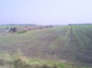 fuchsjagd_asperndorf_101