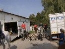 fuchsjagd_asperndorf_11