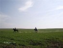 fuchsjagd_asperndorf_30