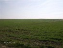 fuchsjagd_asperndorf_31