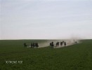 fuchsjagd_asperndorf_33