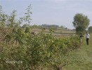 fuchsjagd_asperndorf_35