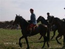 fuchsjagd_asperndorf_36