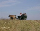 fuchsjagd_asperndorf_39