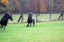 ausritt_guenzing_36