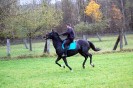 ausritt_guenzing_41