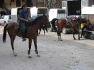 wanderreiten_2009_02