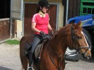 wanderreiten_2009_03