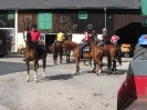wanderreiten_2009_04