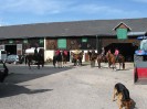 wanderreiten_2009_06