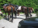 wanderreiten_2009_09