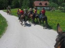 wanderreiten_2009_12