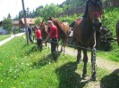 wanderreiten_2009_14