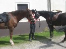 wanderreiten_2009_26