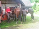 wanderreiten_2009_38