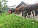 wanderreiten_2009_41