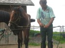 wanderreiten_2009_43
