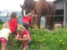 wanderreiten_2009_44