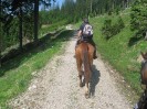 wanderreiten_2009_50