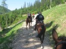 wanderreiten_2009_52