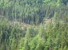 wanderreiten_2009_53
