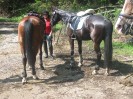 wanderreiten_2009_55