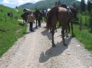 wanderreiten_2009_63